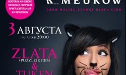 Miau Party by Meukow